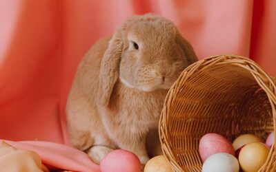 Kids Easter Egg Hunt